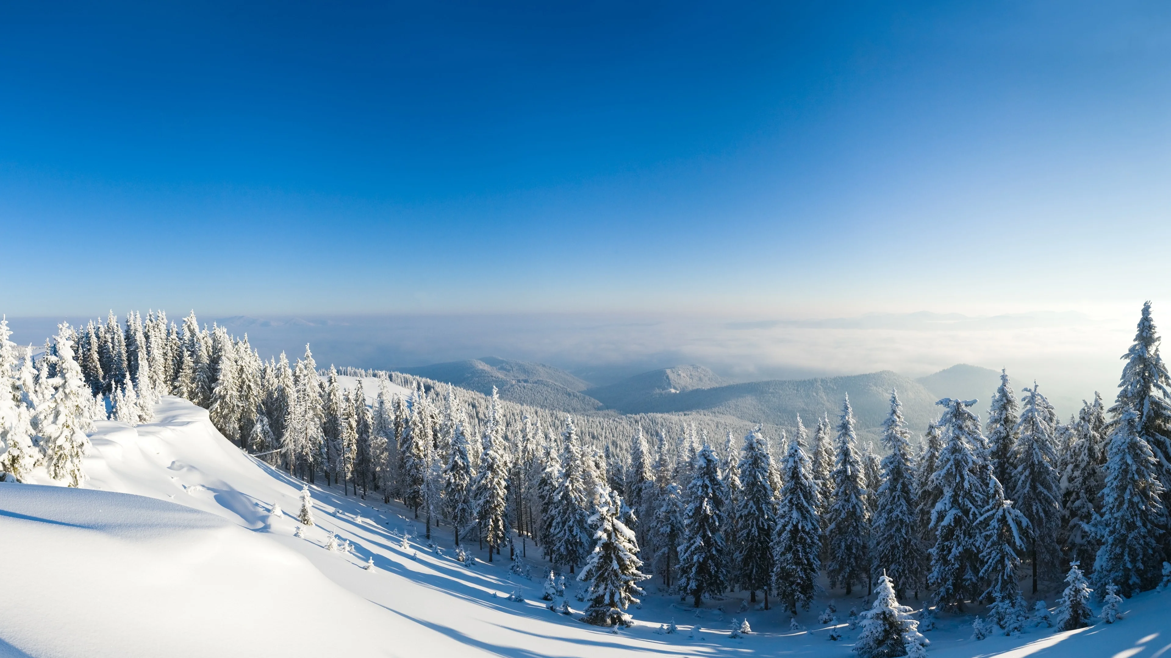 清新自然的 雪景自然风景 自然摄影 4K超清图 4K风景壁纸