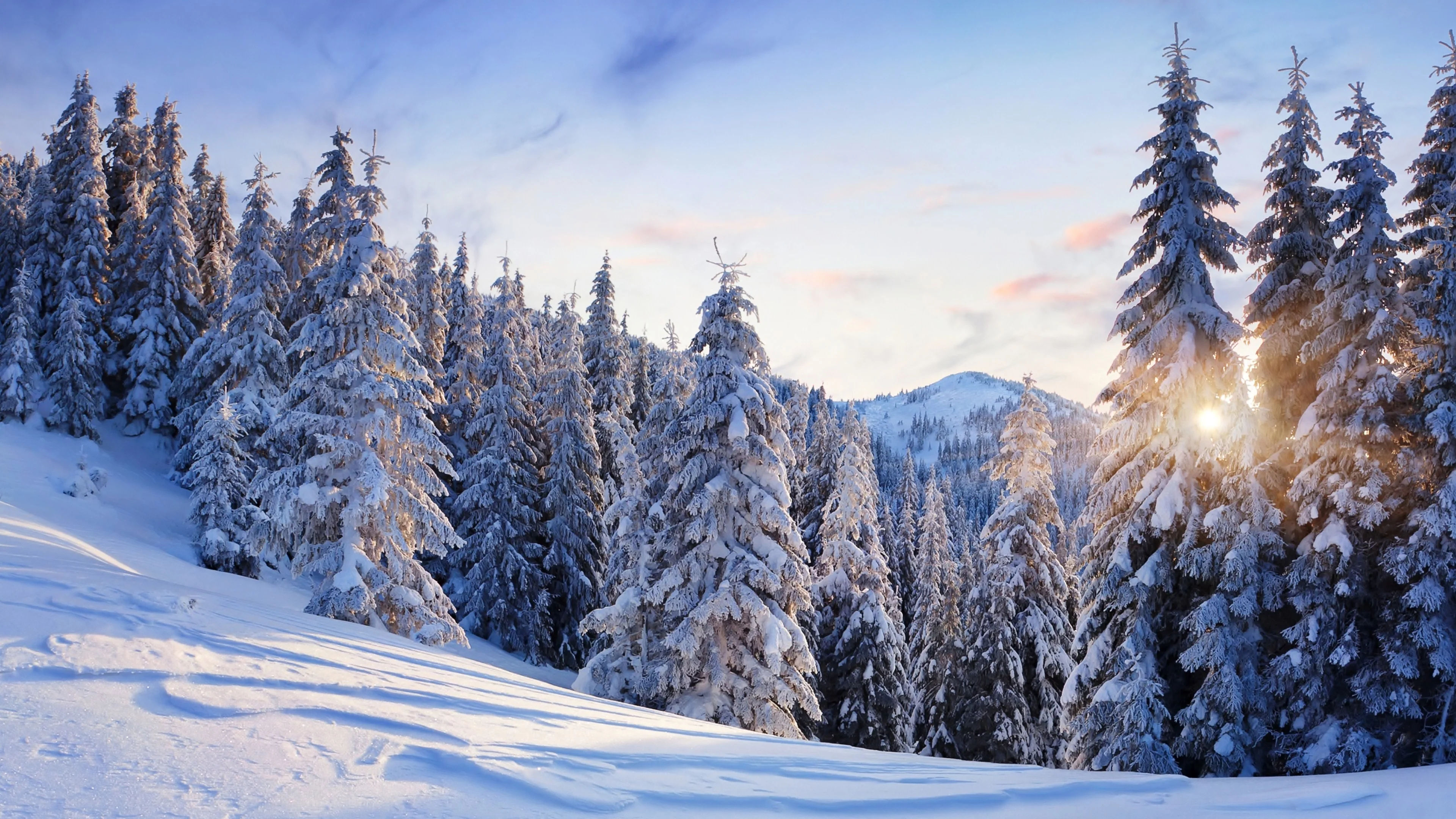 清新自然的 雪景自然风景 自然摄影 4K超清图 4K风景壁纸