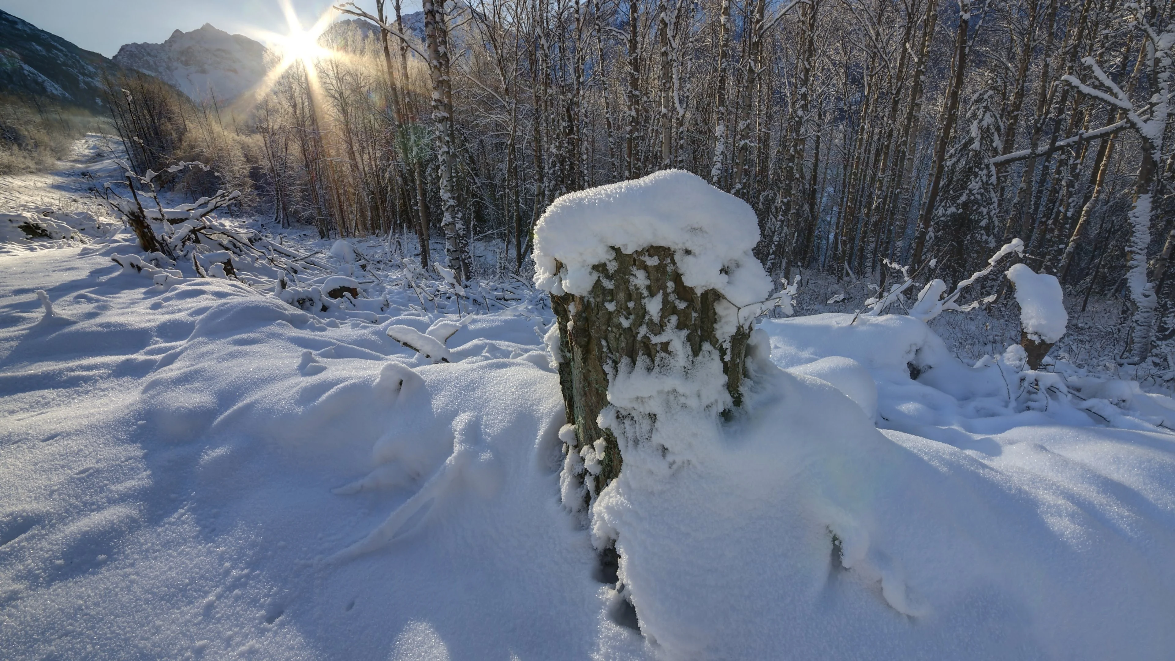 清新自然的 雪景自然风景 自然摄影 4K超清图 4K风景壁纸