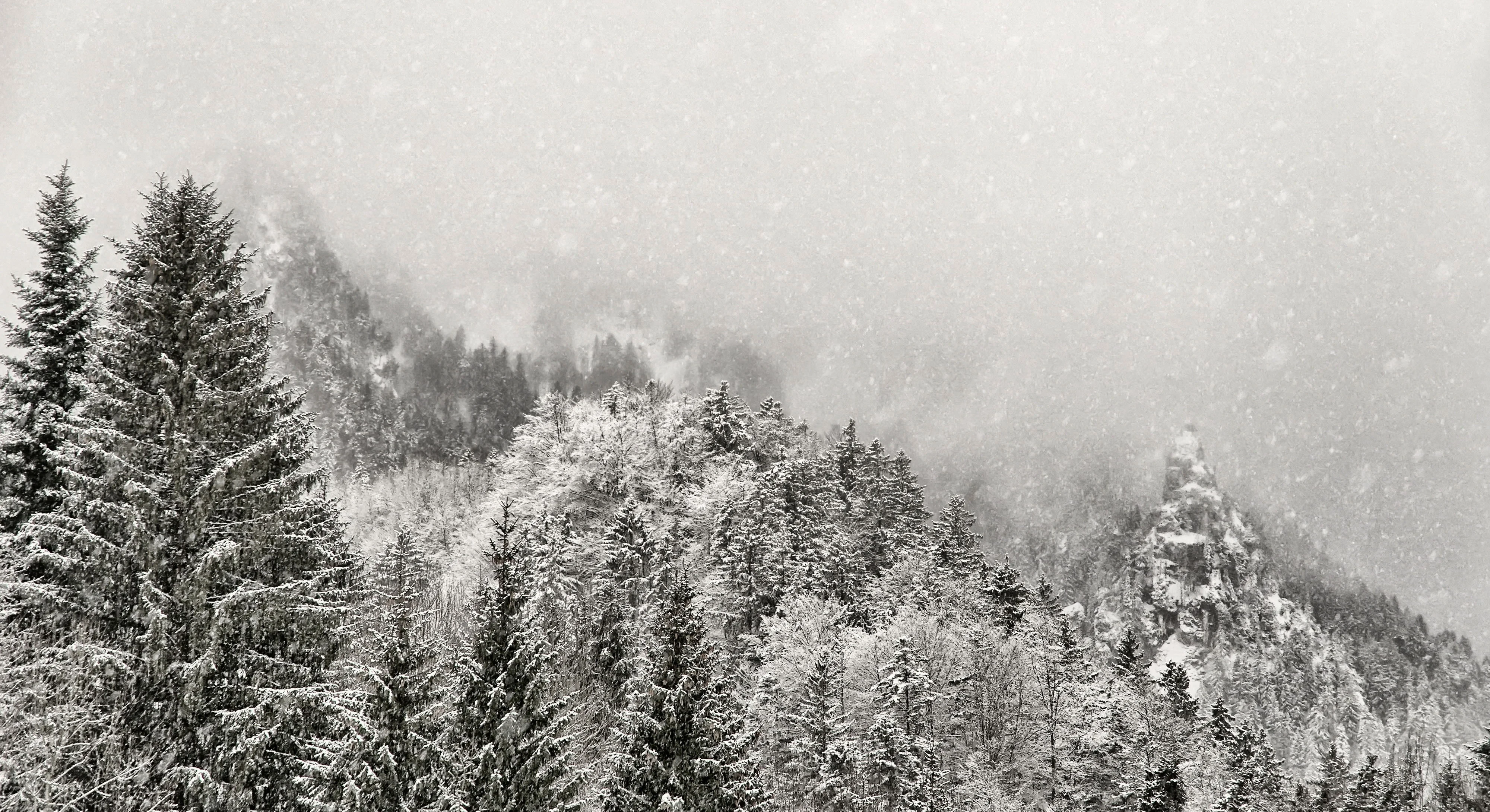 清新自然的 雪景自然风景 自然摄影 4K超清图 4K风景壁纸