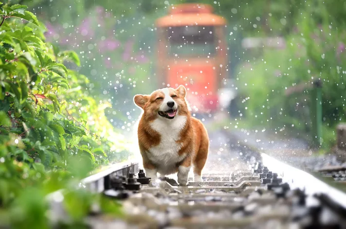 Photo by 壁纸迷