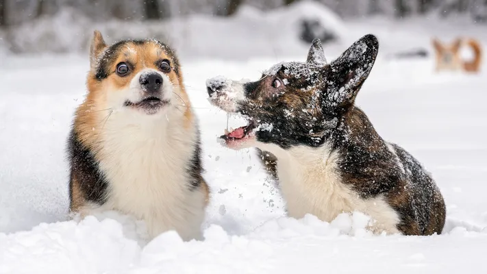 Photo by 壁纸迷