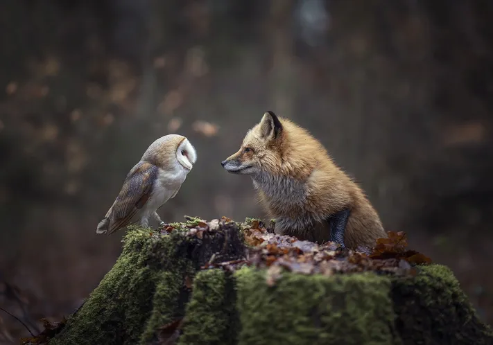 Photo by 壁纸迷