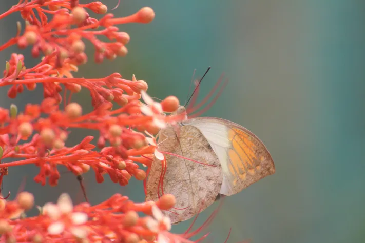 Photo by 壁纸迷