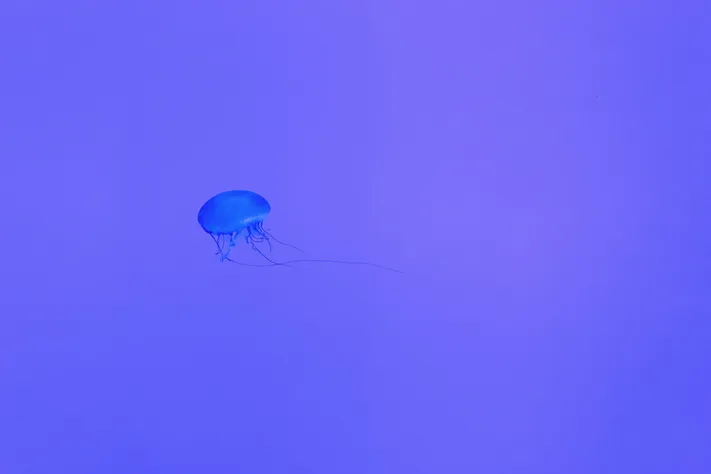 Photo by 壁纸迷