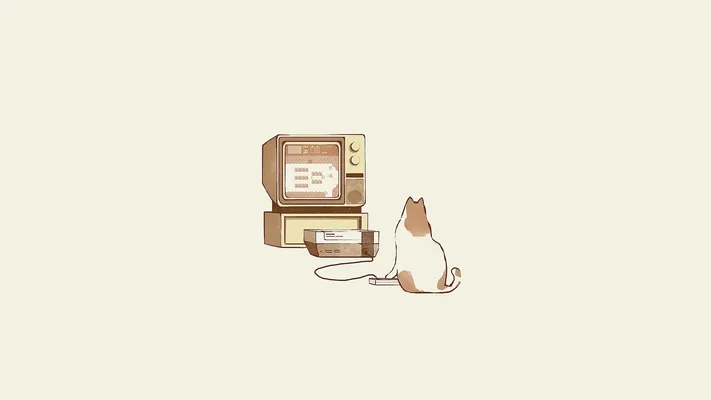 Photo by 壁纸迷