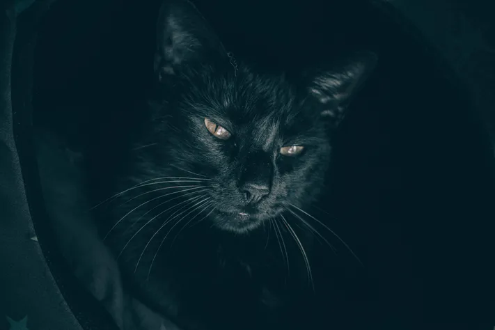 Photo by 壁纸迷