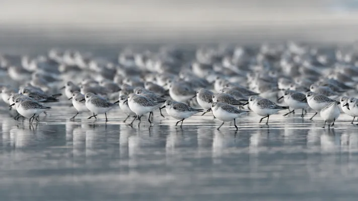 Photo by 壁纸迷