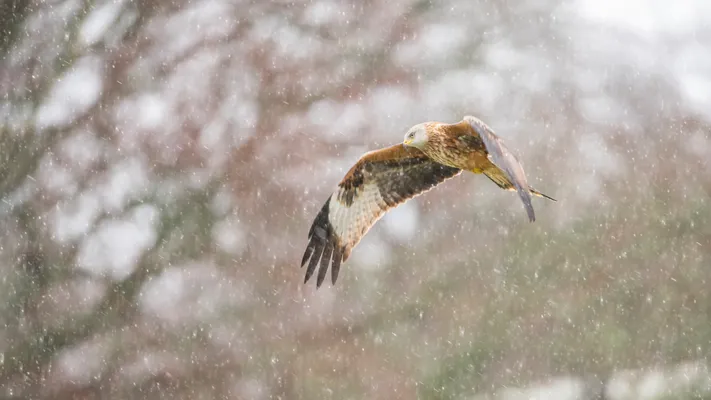 Photo by 壁纸迷