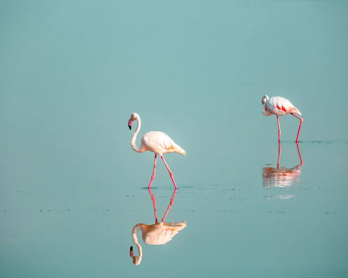 Photo by 壁纸迷