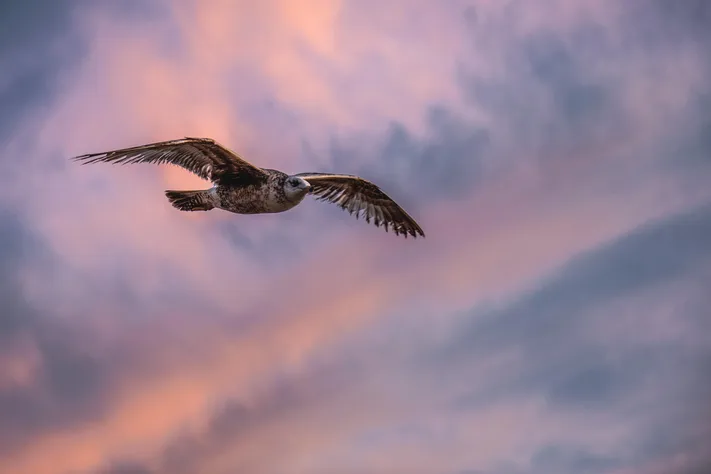 Photo by 壁纸迷