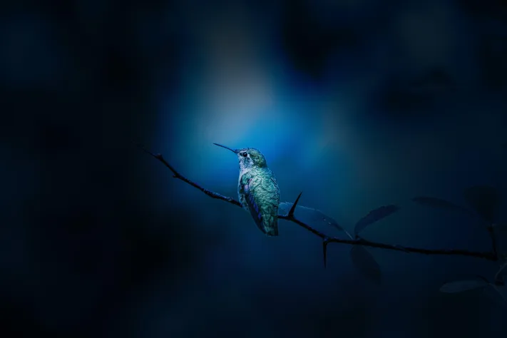 Photo by 壁纸迷