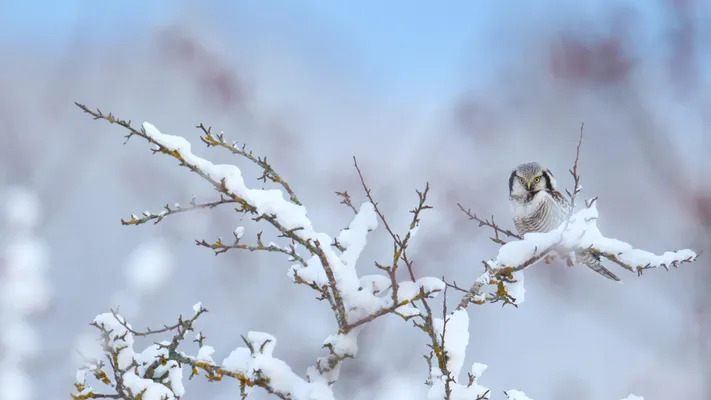 Photo by 壁纸迷