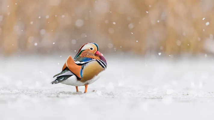 Photo by 壁纸迷