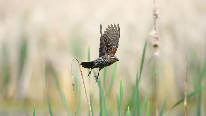 Photo by 壁纸迷