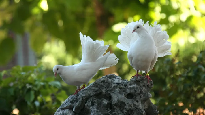 Photo by 壁纸迷