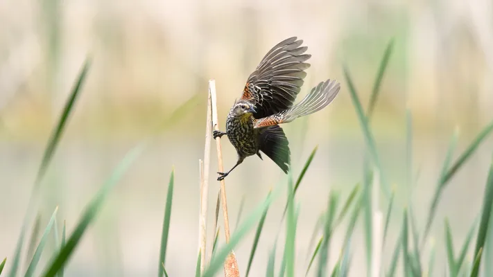 Photo by 壁纸迷
