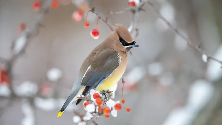 Photo by 壁纸迷