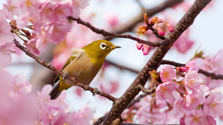 Photo by 壁纸迷