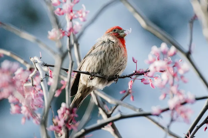 Photo by 壁纸迷
