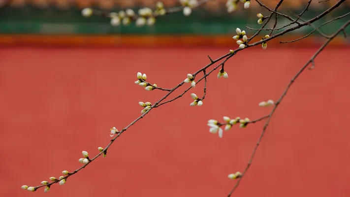 Photo by 壁纸迷