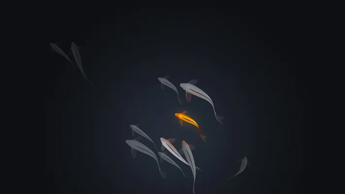 Photo by 壁纸迷