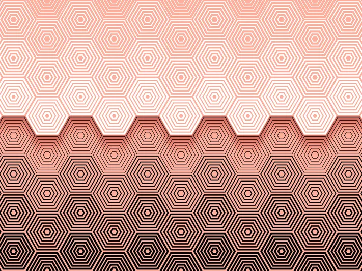 Photo by 壁纸迷