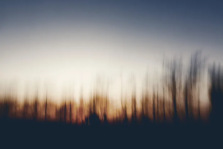 Photo by 壁纸迷