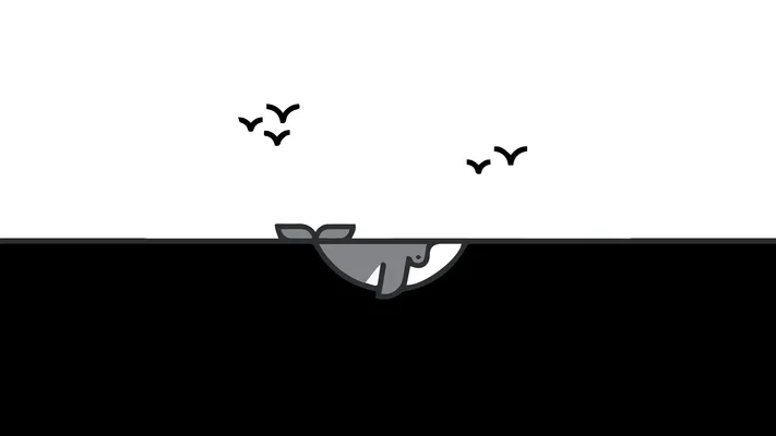 Photo by 壁纸迷
