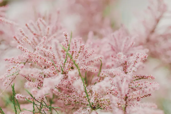 Photo by 壁纸迷