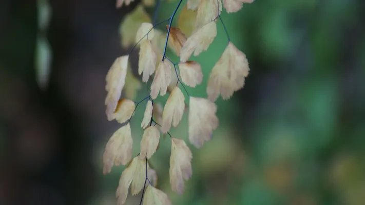 Photo by 壁纸迷