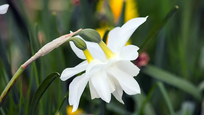 Photo by 壁纸迷
