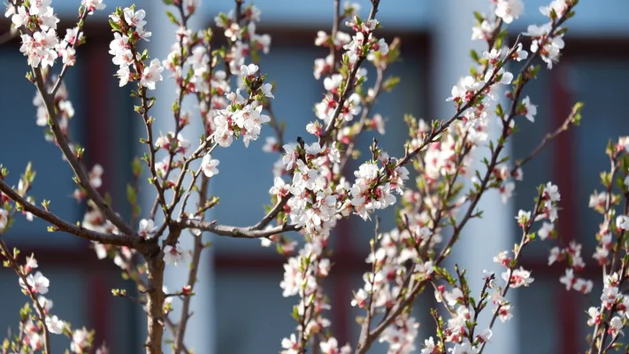 Photo by 壁纸迷