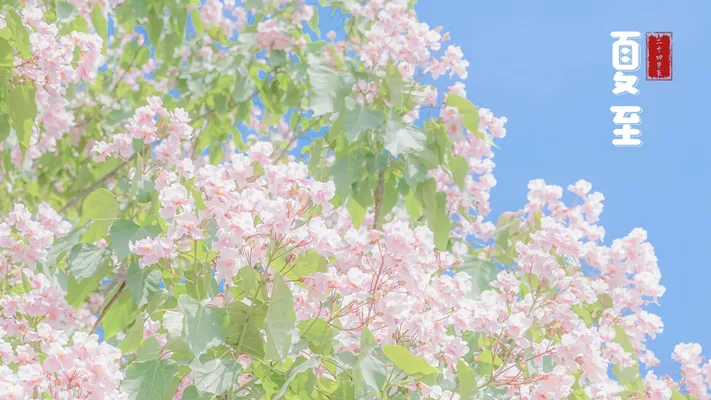 Photo by 壁纸迷