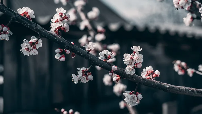 Photo by 壁纸迷