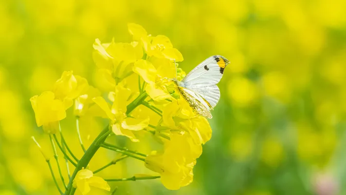 Photo by 壁纸迷