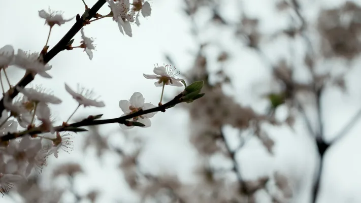 Photo by 壁纸迷