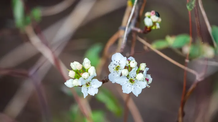 Photo by 壁纸迷