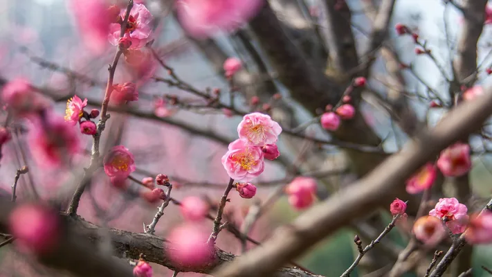 Photo by 壁纸迷
