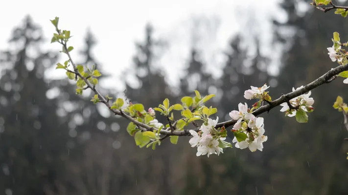 Photo by 壁纸迷