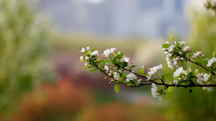 Photo by 壁纸迷