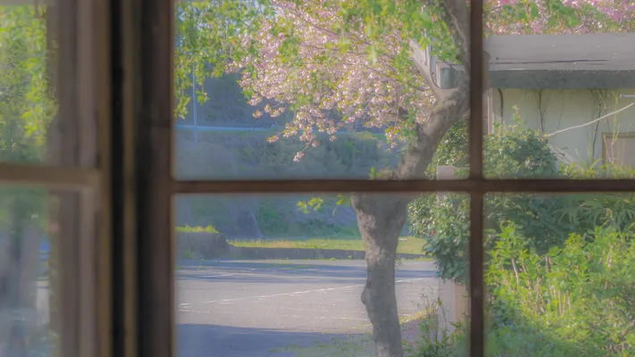 Photo by 壁纸迷