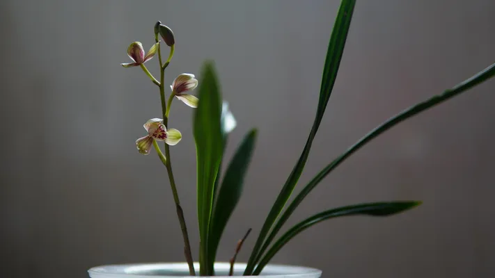 Photo by 壁纸迷