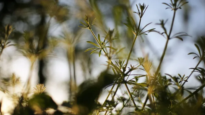 Photo by 壁纸迷