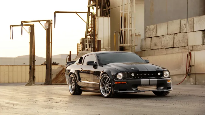 Photo by 壁纸迷