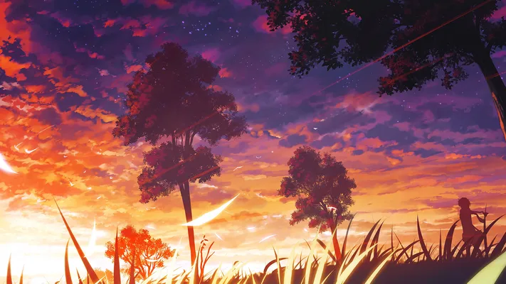 Photo by 壁纸迷