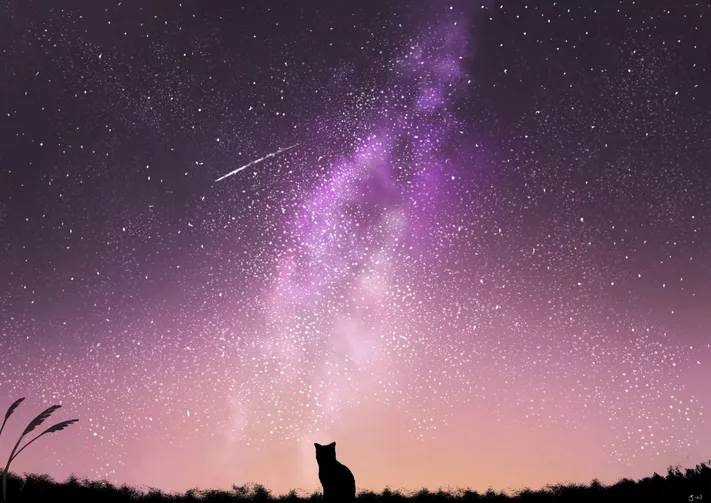 Photo by 壁纸迷