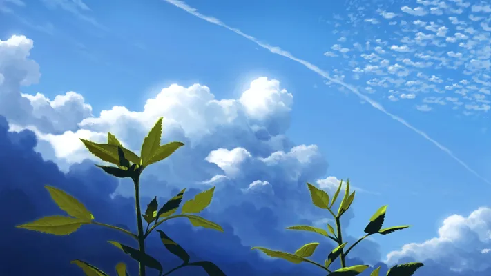 Photo by 壁纸迷