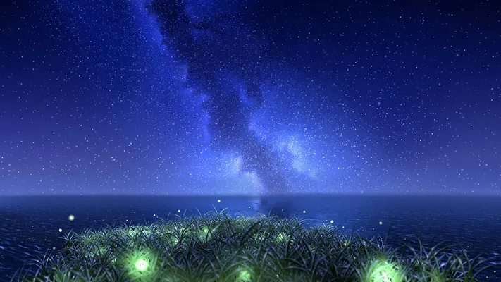 Photo by 壁纸迷