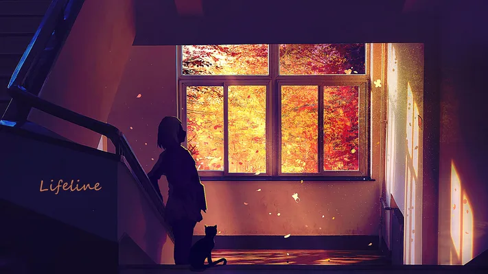 Photo by 壁纸迷